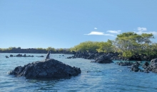 La isla Isabela celebra 45 años de cantonización